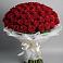 Букет 101 Красная роза Блэк Мэджик в Беляниново