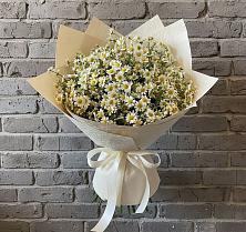 Букет цветов из:  Ромашки в Беляниново