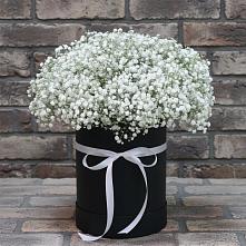Цветочная композиция из Гипсофила в шляпной коробке в Беляниново