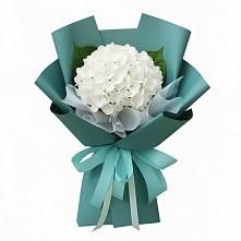 Букет цветов из:  Гортензия в Беляниново